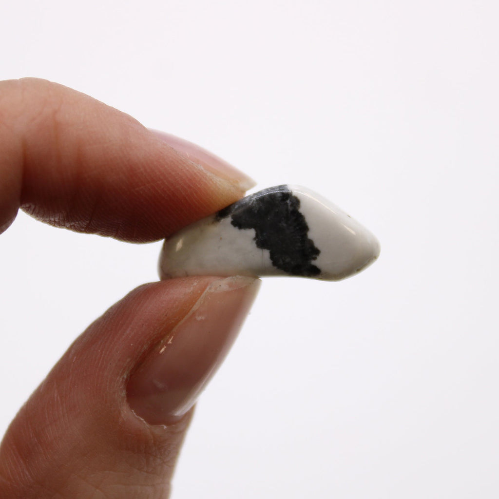 Small African Tumble Stones - White Howlite - Magnesite From Witch, Please!
