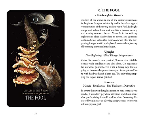 Midnight Magic: A Tarot Deck of Mushrooms Cards Book