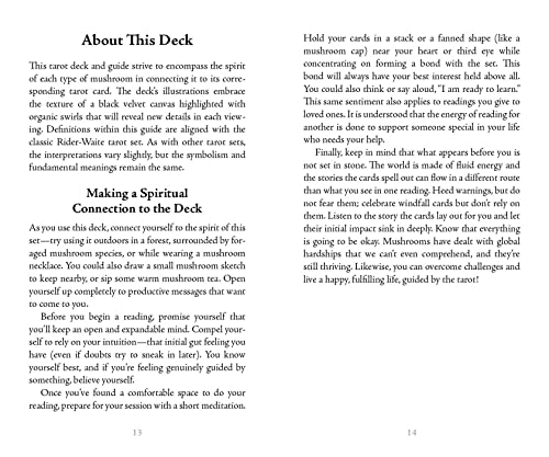 Midnight Magic: A Tarot Deck of Mushrooms Cards Book