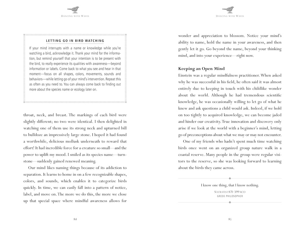 Mindfulness in Bird Watching : Meditations on Nature & Freedom - Sold by Witch, Please!