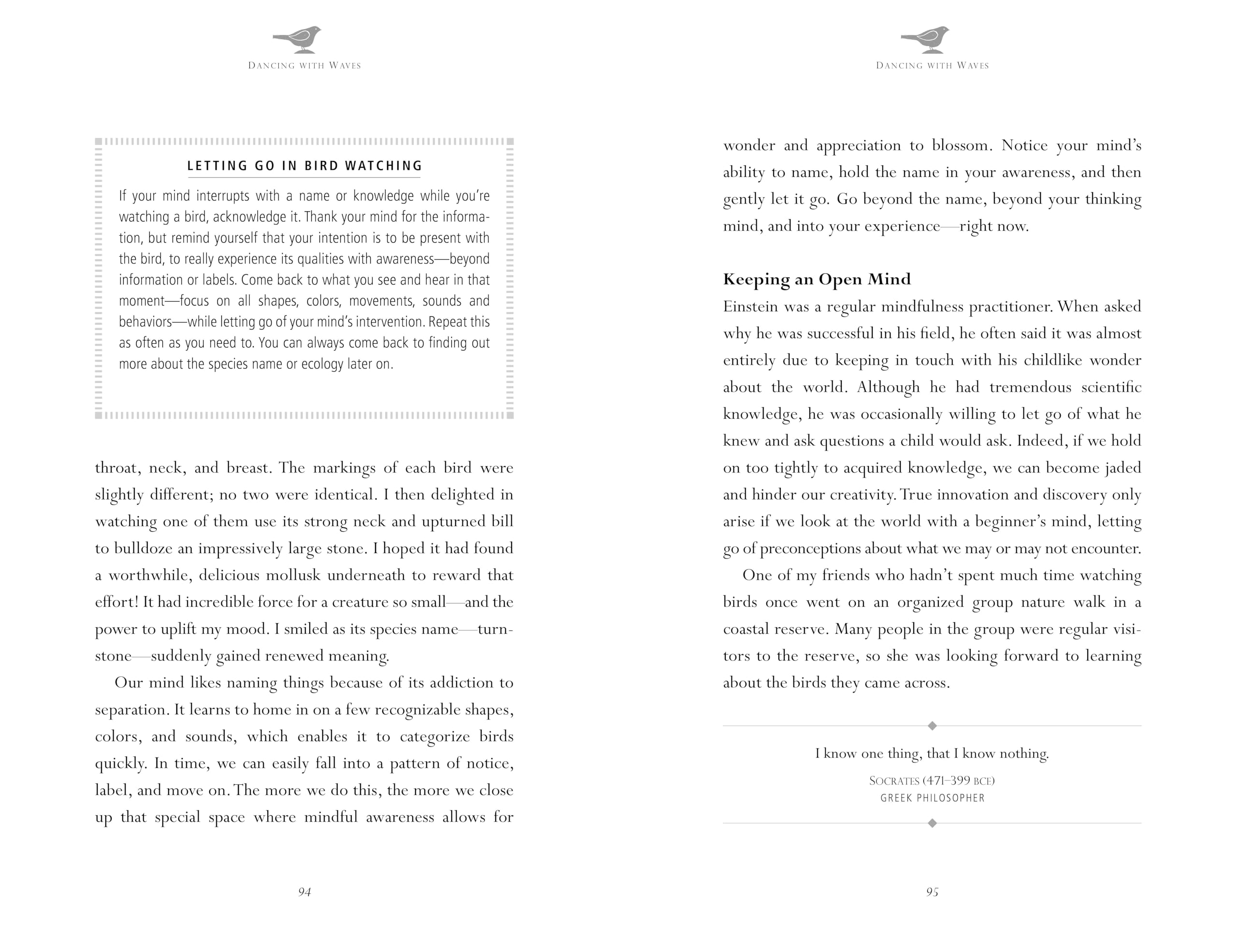 Mindfulness in Bird Watching : Meditations on Nature & Freedom - Sold by Witch, Please!