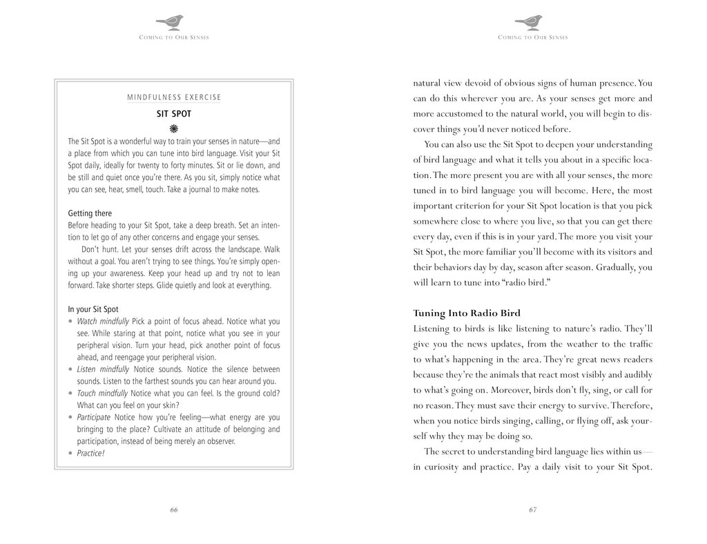 Mindfulness in Bird Watching : Meditations on Nature & Freedom - Sold by Witch, Please!