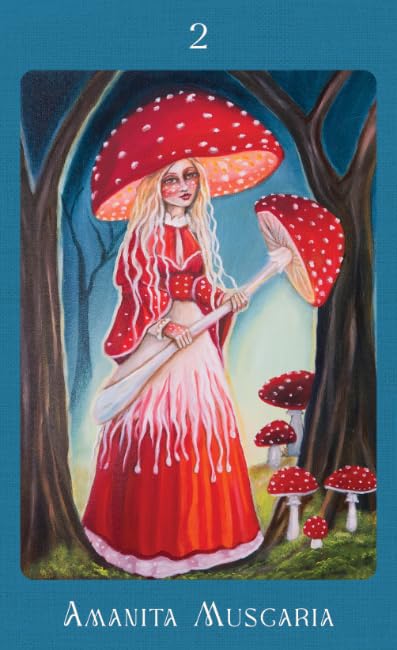 Mushroom Folk Oracle