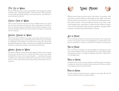Mystical Women's Tarot : A Deck of Fearless Femmes