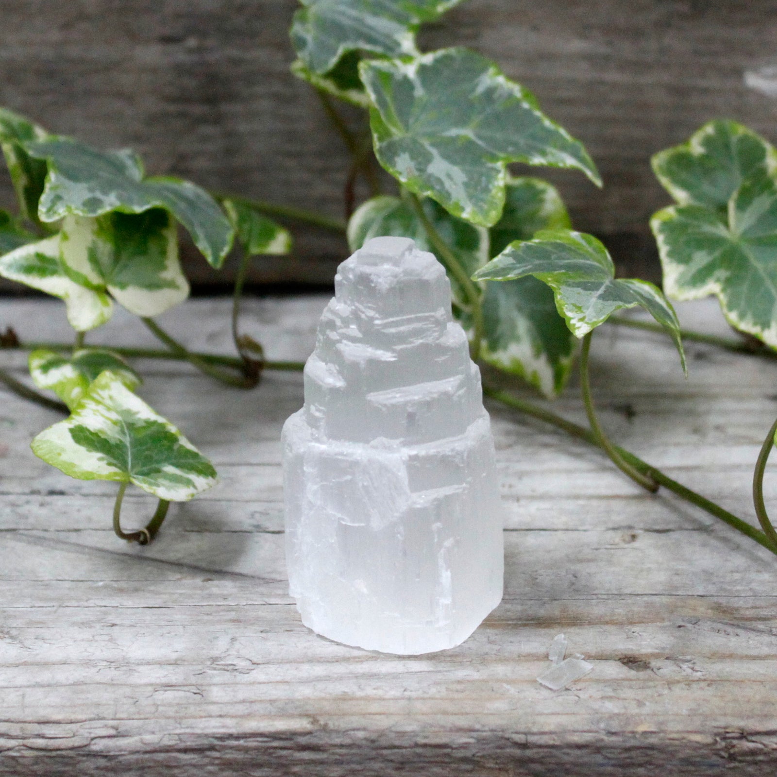 Natural Selenite Tower - 5 cm From Witch, Please!