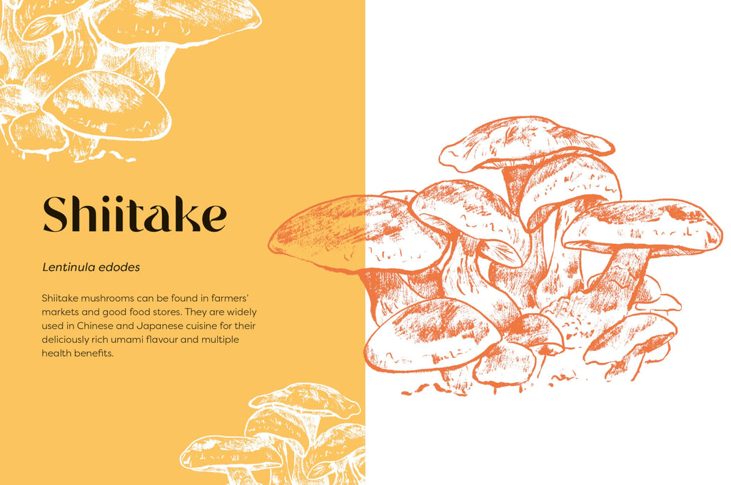 Nature's Apothecary : Harness the healing power of herbs, mushrooms and other adaptogens - Sold by Witch, Please!