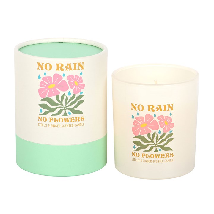 No Rain Flowers Citrus & Ginger Candle