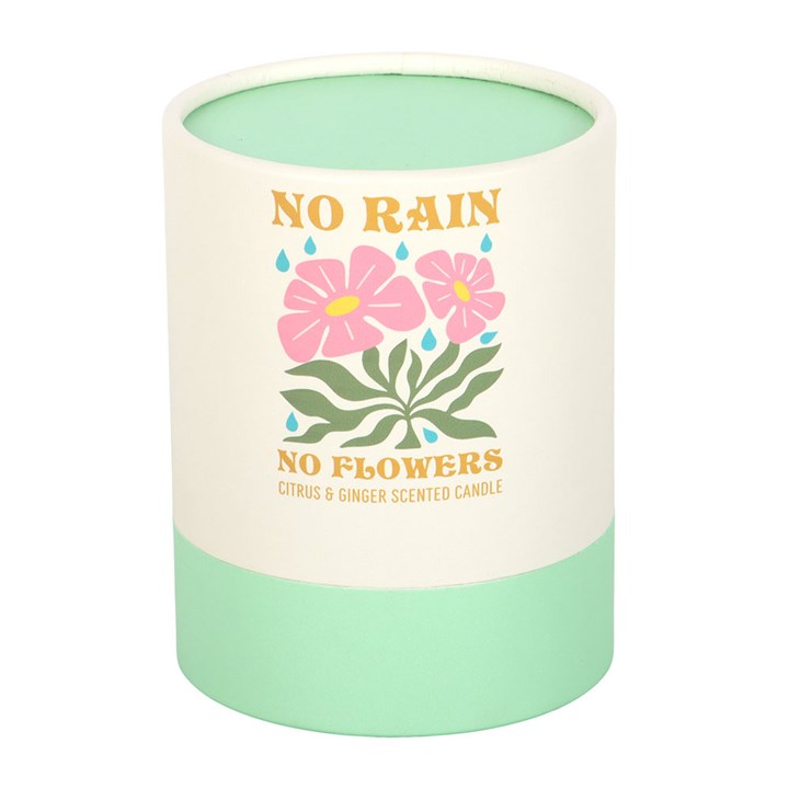 No Rain Flowers Citrus & Ginger Candle