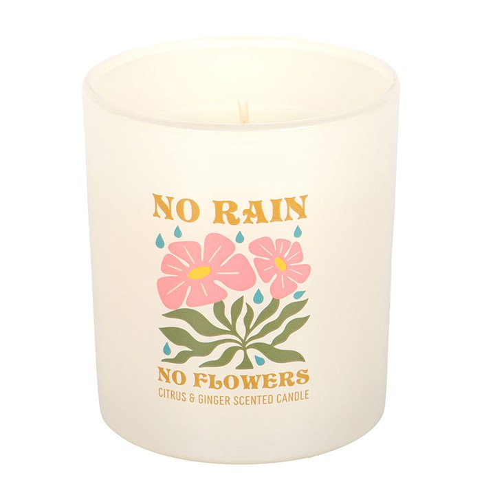 No Rain Flowers Citrus & Ginger Candle