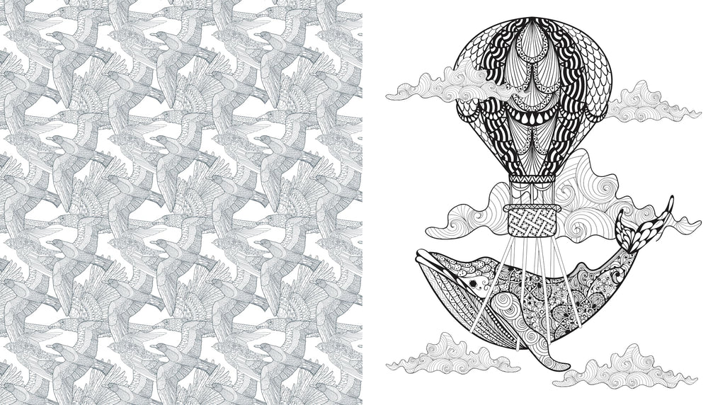 Oddities & Curiosities Coloring Book : A Coloring Journey Through the Weird and Wonderful - More than 100 pages to color