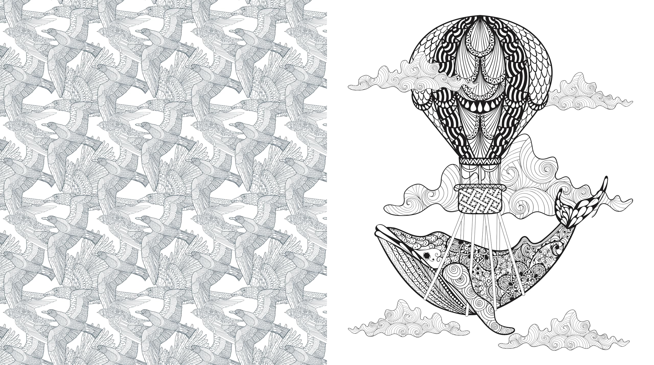Oddities & Curiosities Coloring Book : A Coloring Journey Through the Weird and Wonderful - More than 100 pages to color
