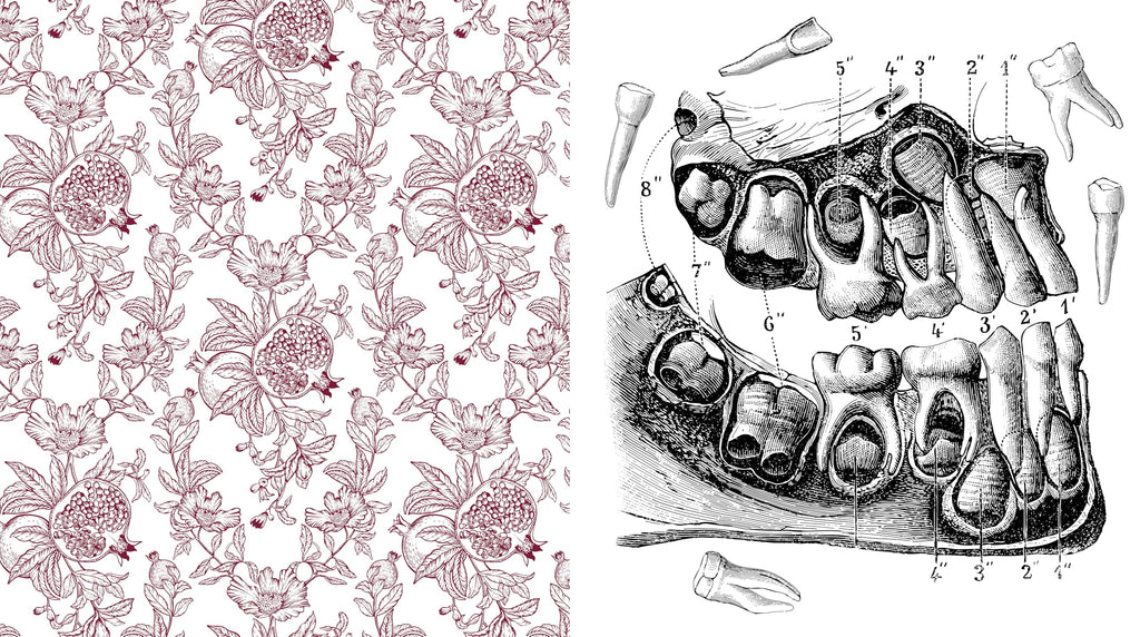 Oddities & Curiosities Coloring Book : A Coloring Journey Through the Weird and Wonderful - More than 100 pages to color