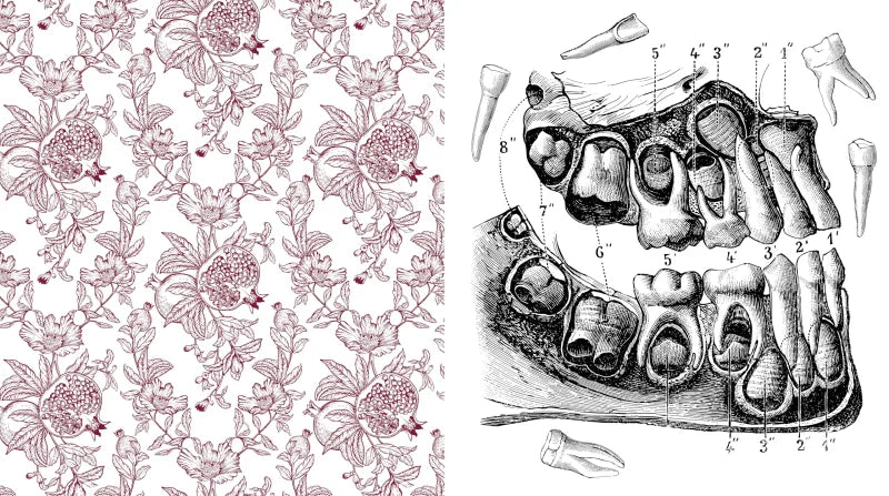 Oddities & Curiosities Coloring Book : A Coloring Journey Through the Weird and Wonderful - More than 100 pages to color