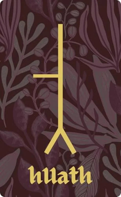 Ogham : Divining in the Celtic Way (25-Card Deck and 192-Page Guidebook)