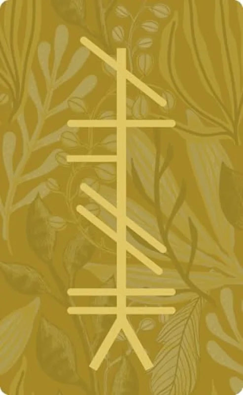 Ogham : Divining in the Celtic Way (25-Card Deck and 192-Page Guidebook)