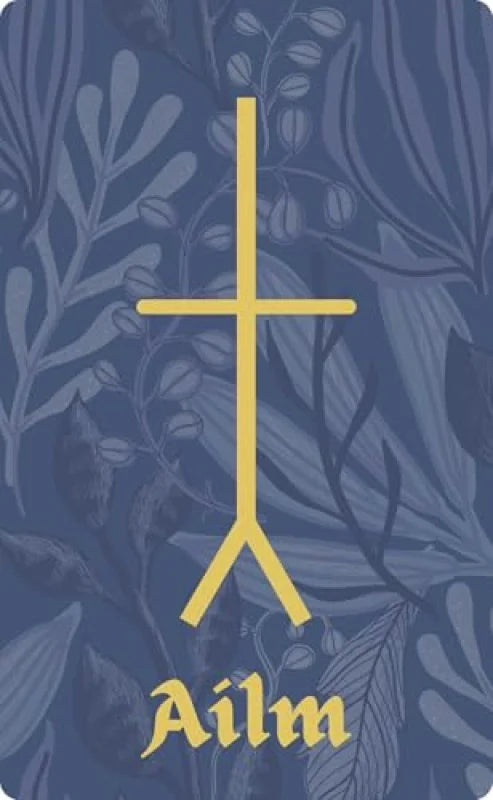 Ogham : Divining in the Celtic Way (25-Card Deck and 192-Page Guidebook)