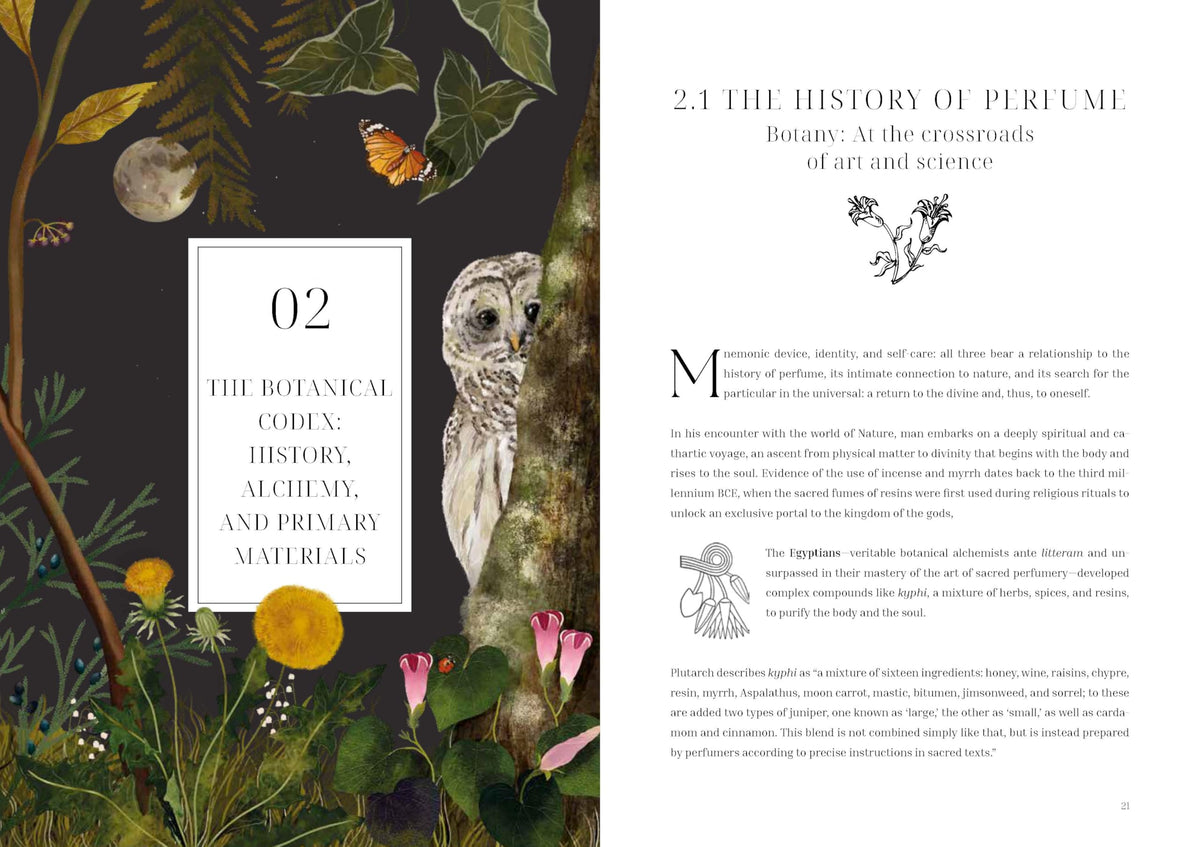 Olfactory Code : Unveiling the Alchemy of Botanical Perfumery