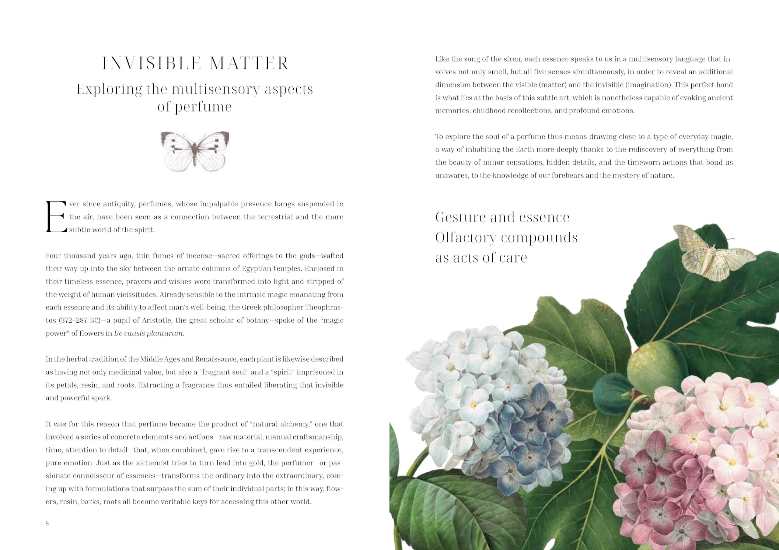 Olfactory Code : Unveiling the Alchemy of Botanical Perfumery