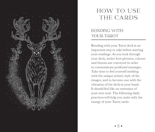 Oriens Animal Tarot Pocket Edition Cards