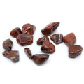 L Tumble Stones - Petrified Wood From Witch, Please!