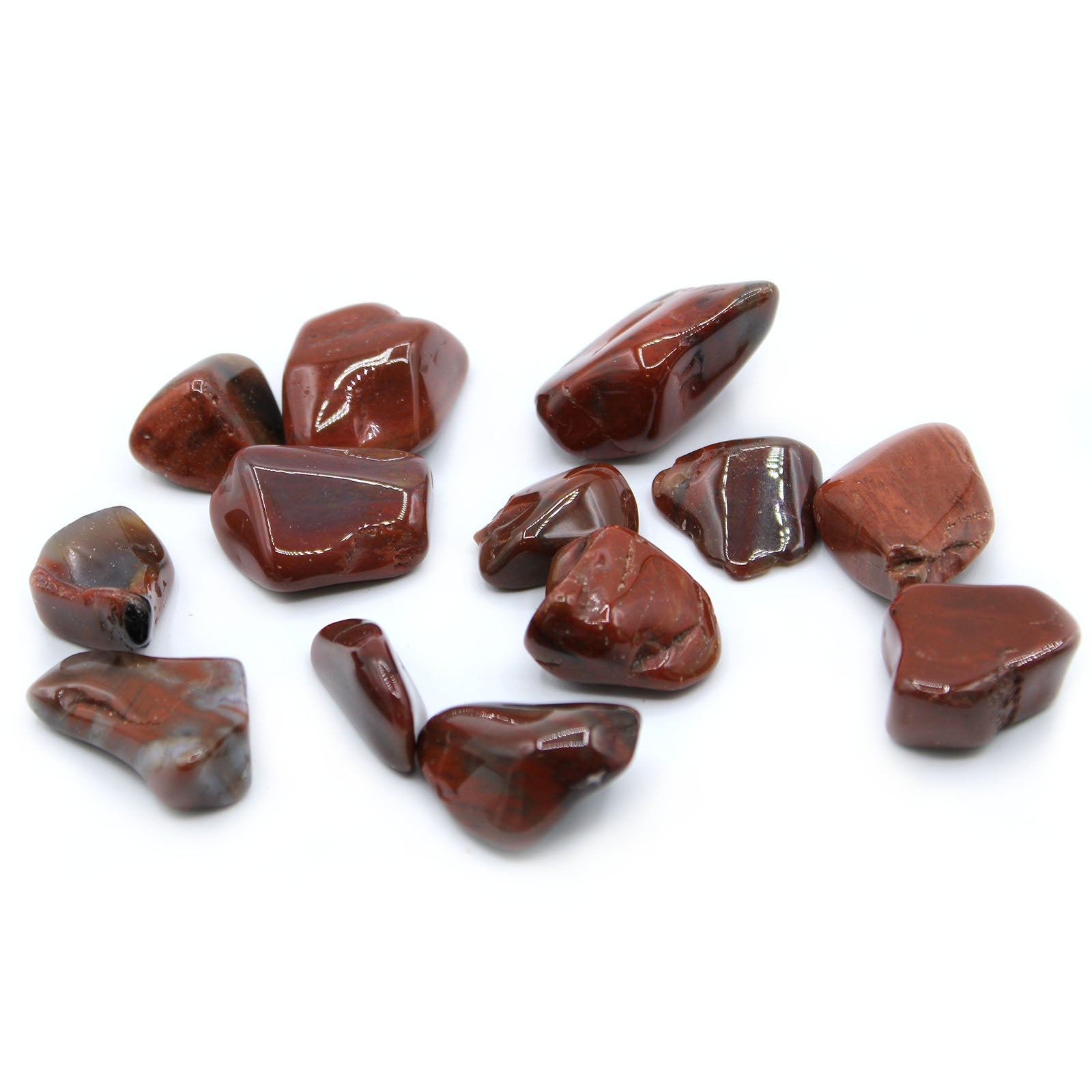 L Tumble Stones - Petrified Wood From Witch, Please!