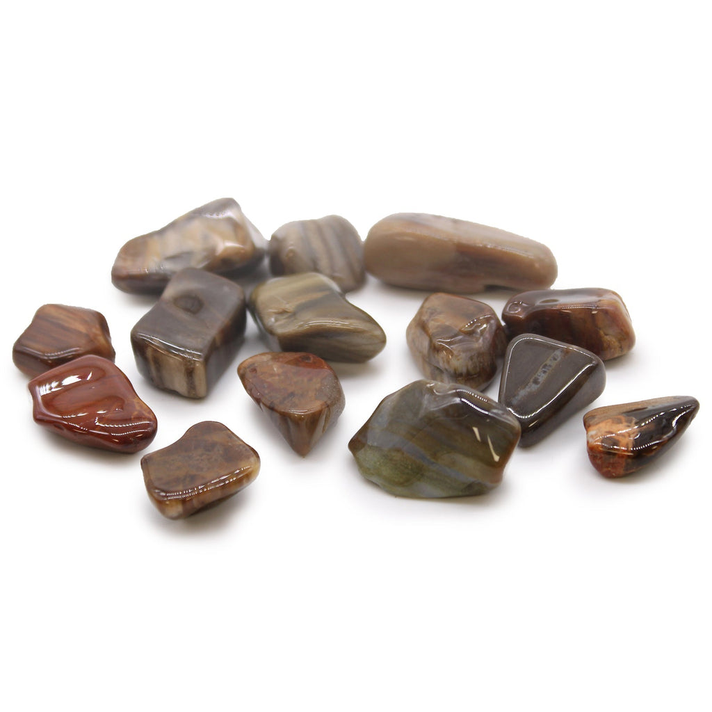M Tumble Stone - Petrified Wood From Witch, Please!