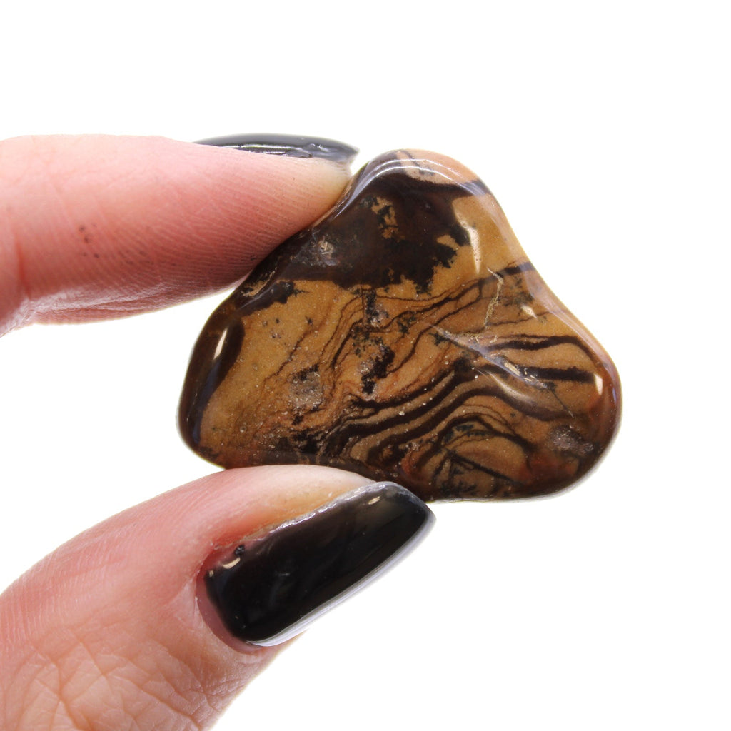 Medium African Tumble Stones - Picture Nguni From Witch, Please!