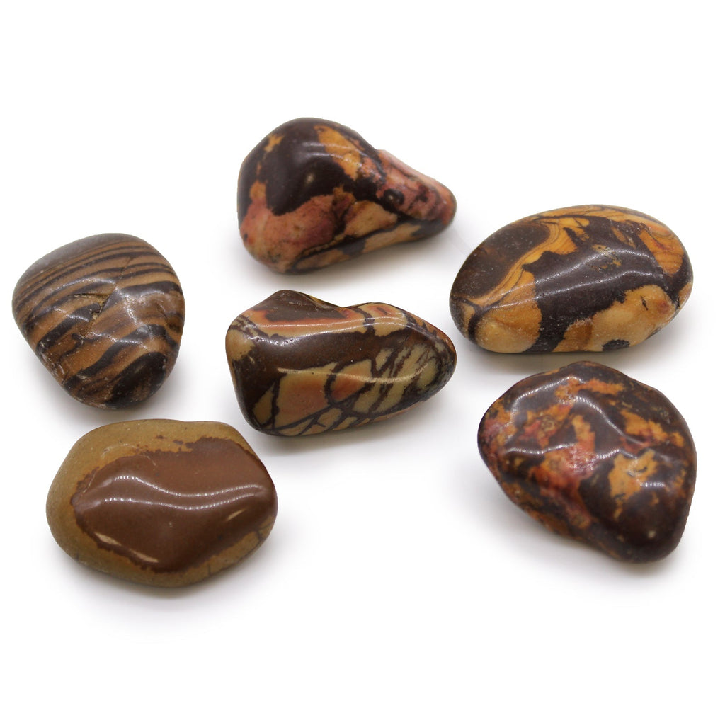 Large African Tumble Stones - Picture Nguni From Witch, Please!