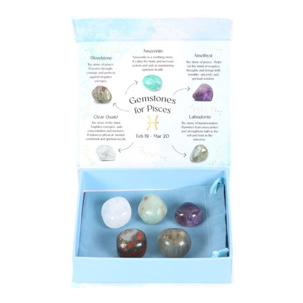 Pisces Crystal Tumblestone Set From Witch, Please!