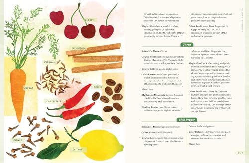 Plant Magic at Home : A Complete Guide to Harnessing the Power of Nature from Rituals to DIYs