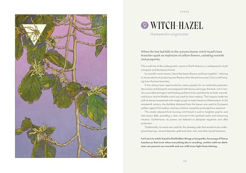 Plant Magic : The Magic Connections of Plants with the Universe