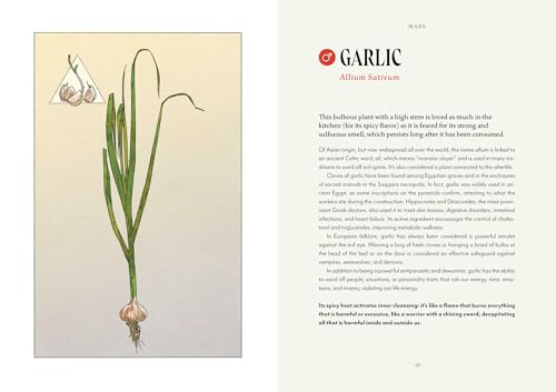 Plant Magic : The Magic Connections of Plants with the Universe
