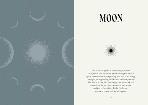 Plant Magic : The Magic Connections of Plants with the Universe