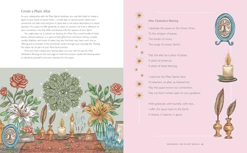 Plant Spirit Wisdom : Connect with Your Plant Allies for Powerful Healing and Guidance