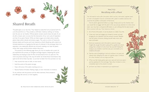 Plant Spirit Wisdom : Connect with Your Plant Allies for Powerful Healing and Guidance