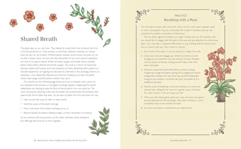 Plant Spirit Wisdom : Connect with Your Plant Allies for Powerful Healing and Guidance