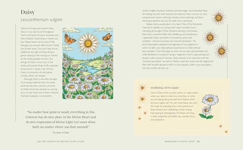 Plant Spirit Wisdom : Connect with Your Plant Allies for Powerful Healing and Guidance