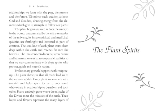 Plant Spirits Oracle : A 40-Card Deck and Guidebook