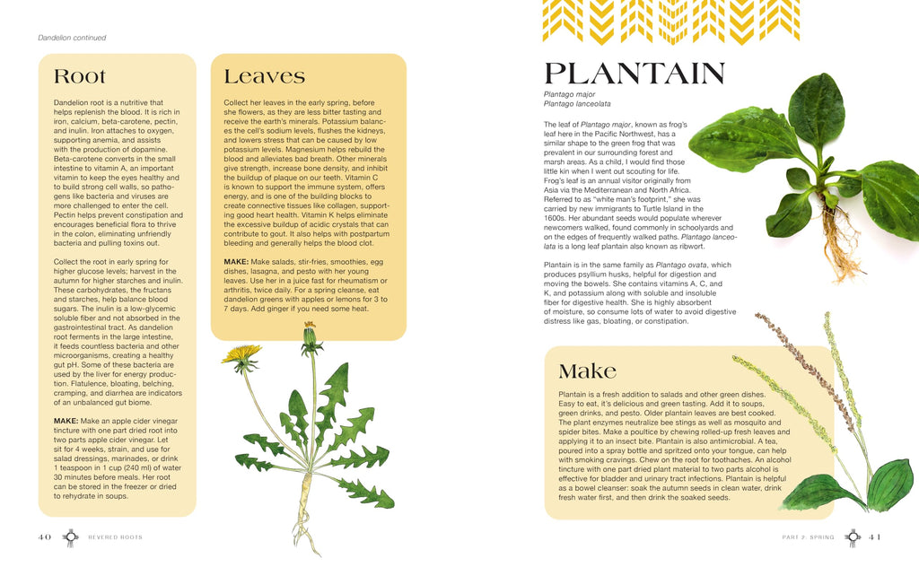 Revered Roots : Ancestral Teachings and Wisdom of Wild, Edible, and Medicinal Plants - Sold by Witch, Please!