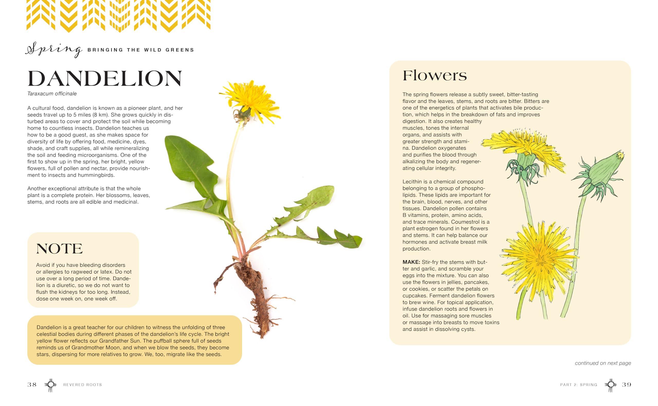 Revered Roots : Ancestral Teachings and Wisdom of Wild, Edible, and Medicinal Plants - Sold by Witch, Please!