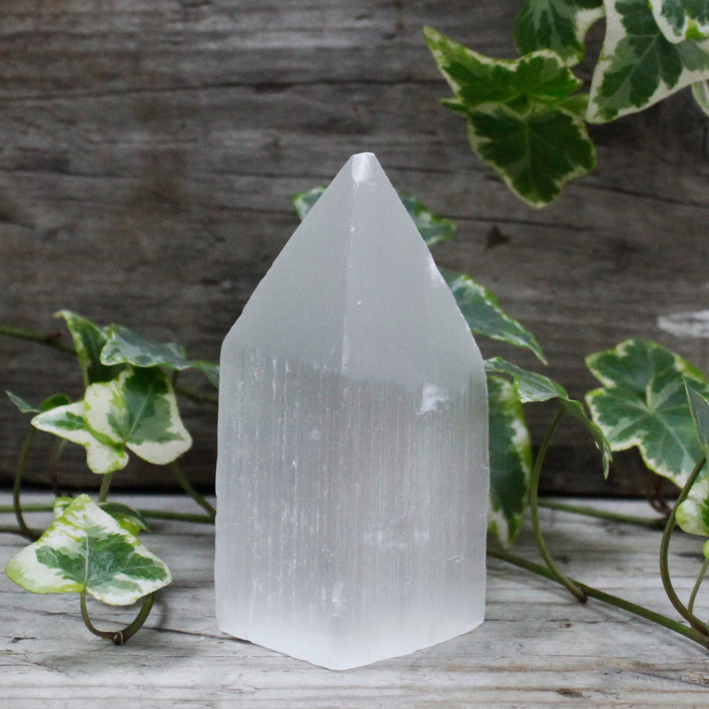Selenite Pencil Point Tower - 10 cm From Witch, Please!