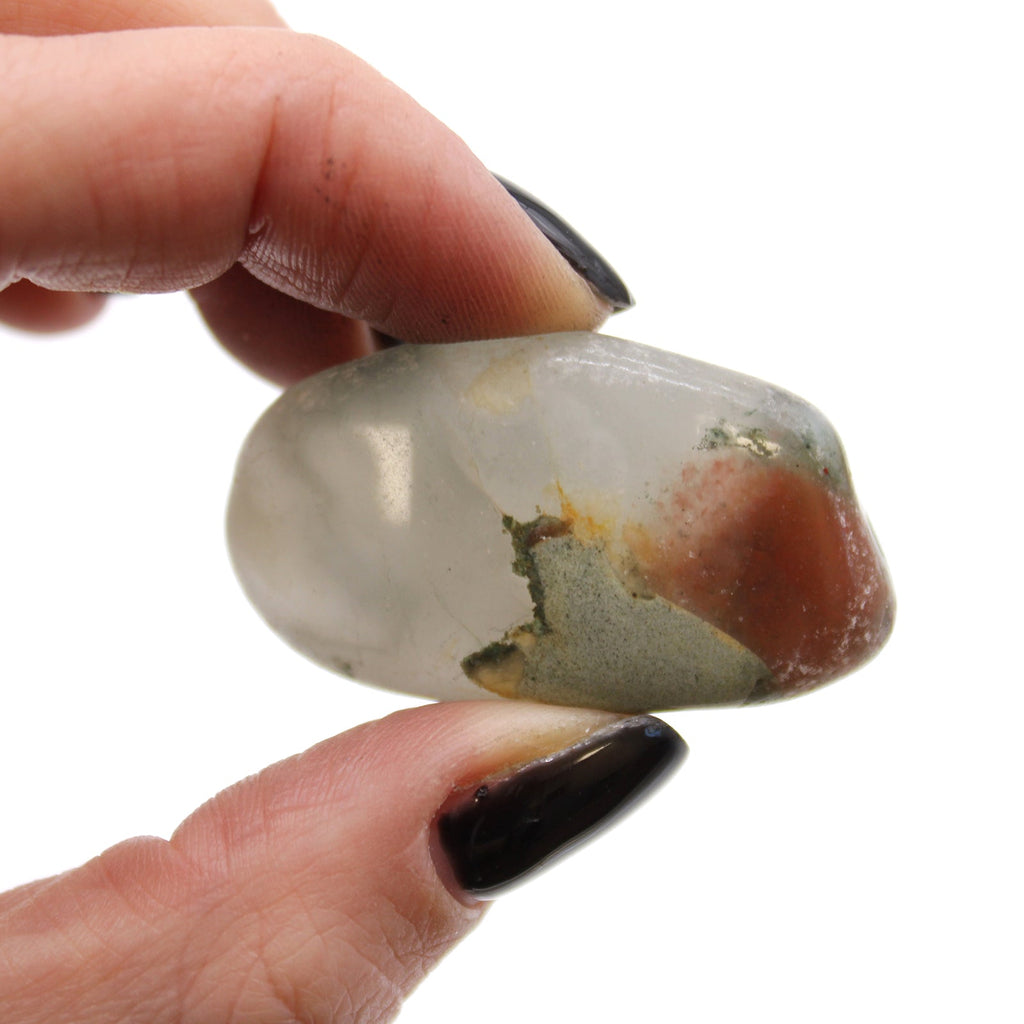Medium African Tumble Stones - Bloodstone - Sephtonite From Witch, Please!