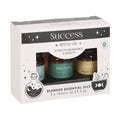 Set of 3 Success Ritual Blended Essential Oils From Witch, Please!
