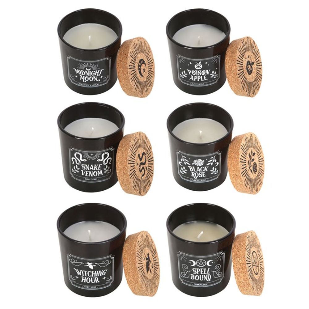 Midnight Ritual Candles Set of 6 Witch, Please!