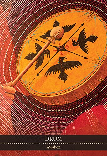 Shamanic Medicine Oracle Cards Mixed media product Book