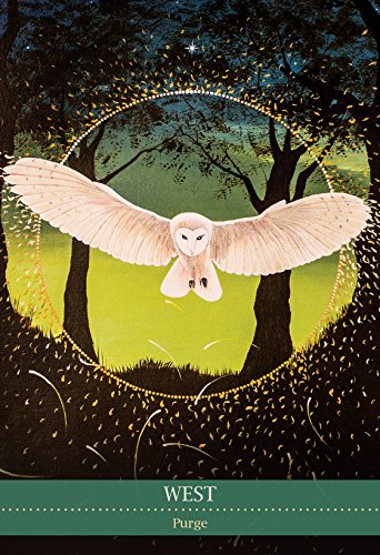 Shamanic Medicine Oracle Cards Mixed media product Book
