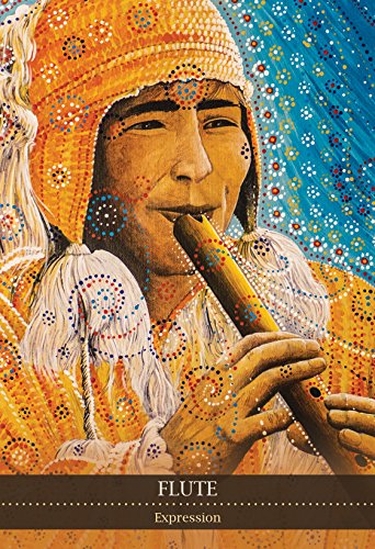 Shamanic Medicine Oracle Cards Mixed media product Book