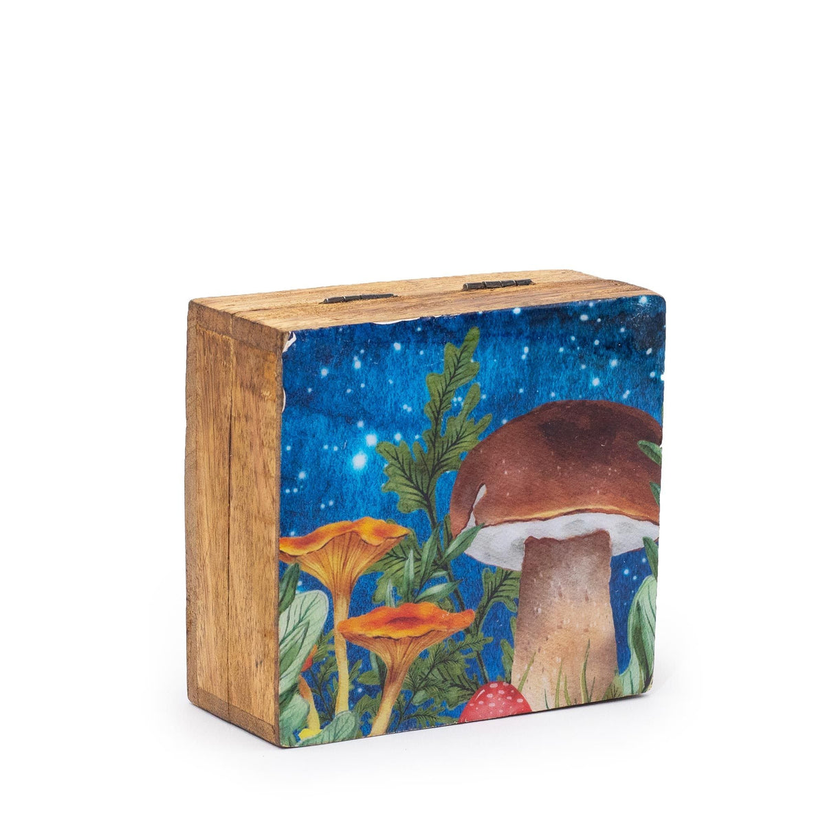 Small Enameled Square Box 10x10x4.2cm - Mushroom Design Teal Enamelled Boxes and Trays