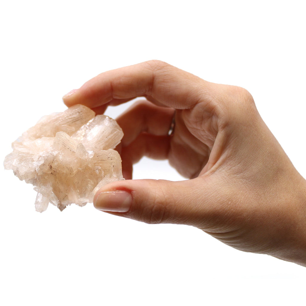 Stilbite Combination with Appophyllite 20-30mm From Witch, Please!