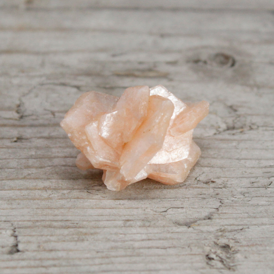 Stilbite Combination with Appophyllite 20-30mm From Witch, Please!